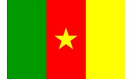 Cameroon World Cup 2022 Flags